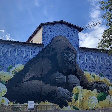 Pitti – Lyceum murals